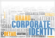 New Corporation or Limited Liability Company